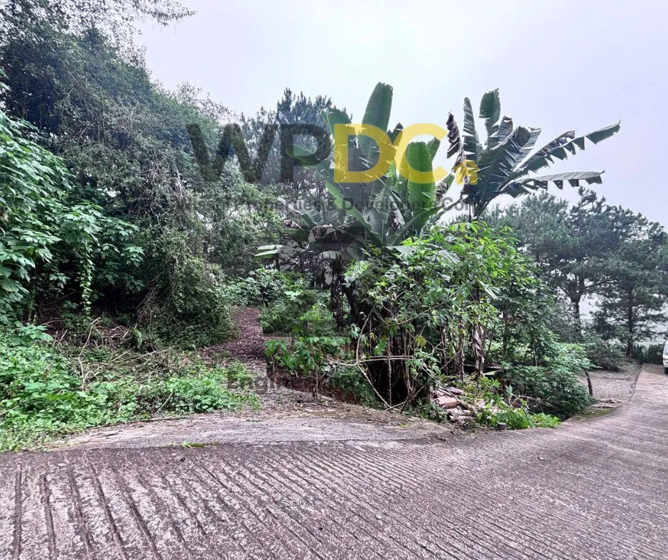 Balacbac House and Lot - photo 4